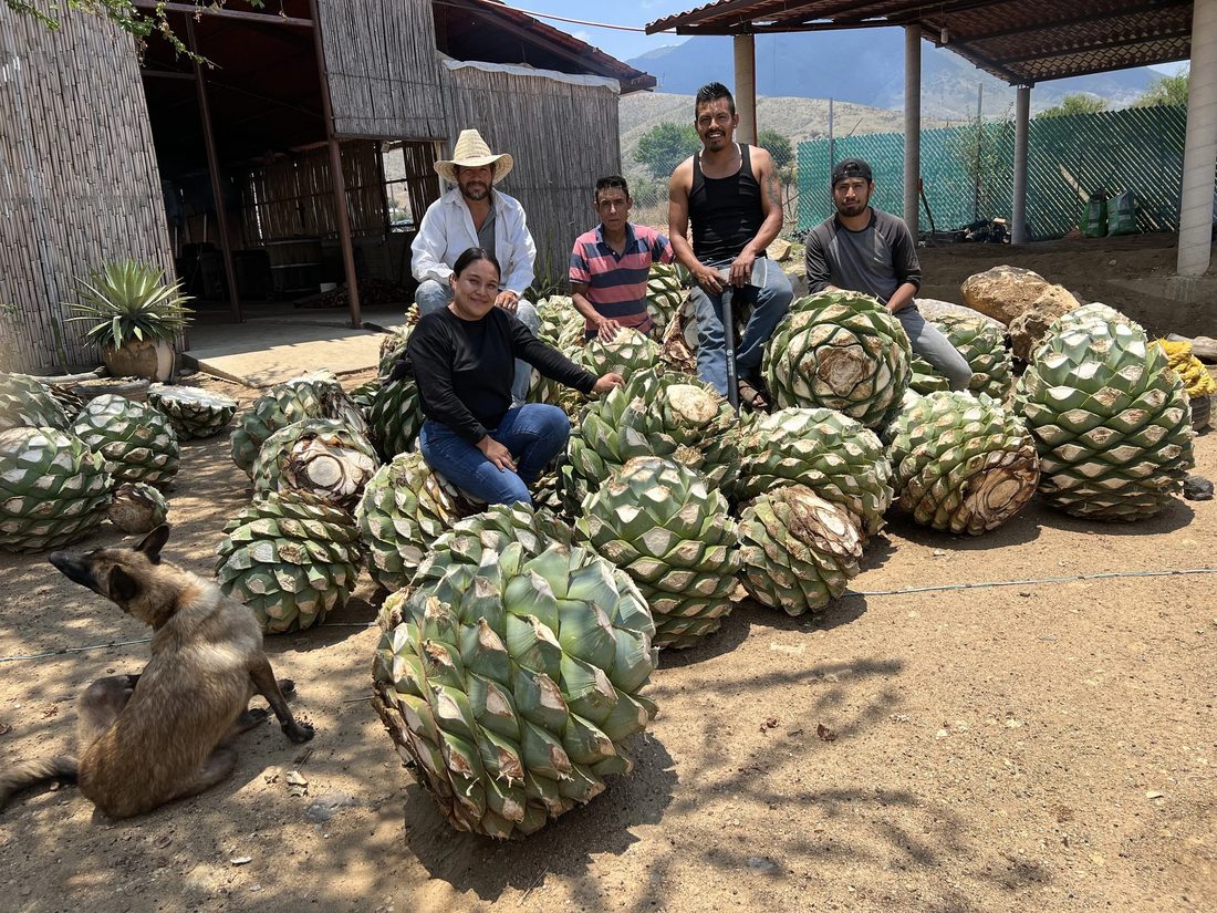 Rosario Ángeles and her team at the palenque